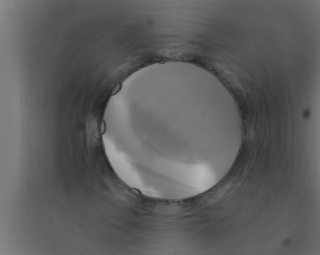 X0000094221106200711241715