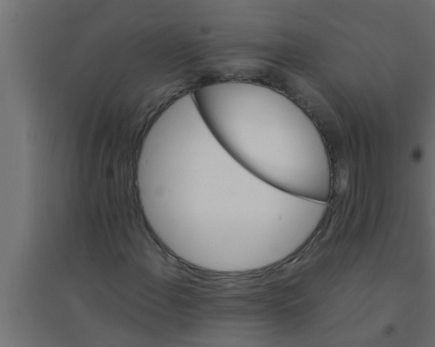 X0000094221108200711241715