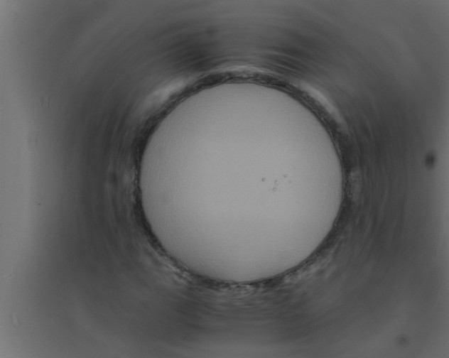 X0000094221111200711241715