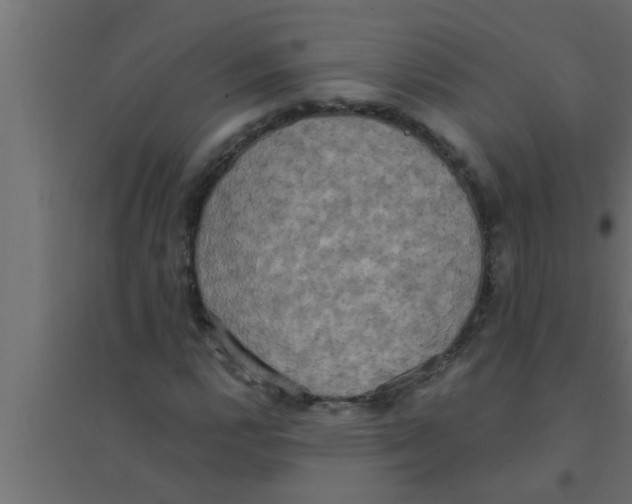 X0000094221112200711241715