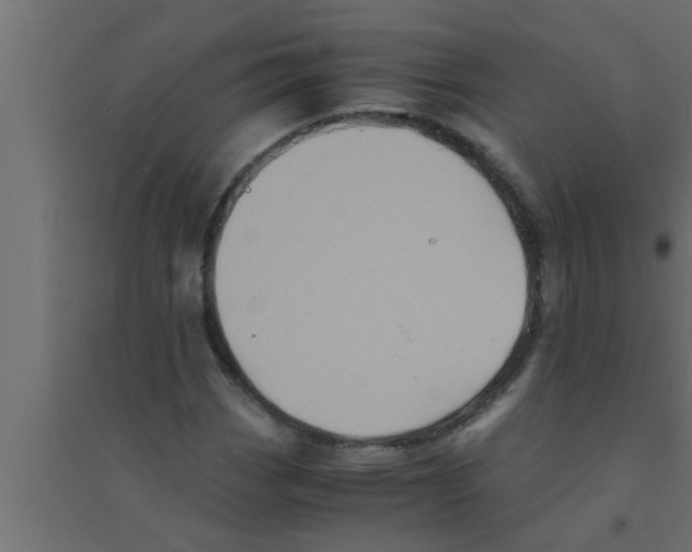 X0000094221113200711241715