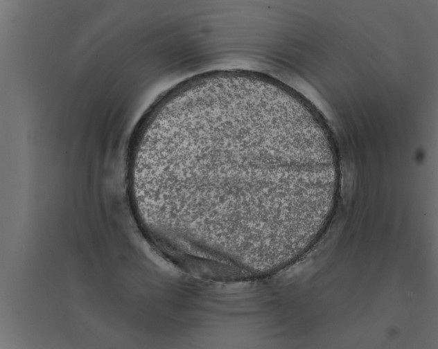 X0000094221116200711241715