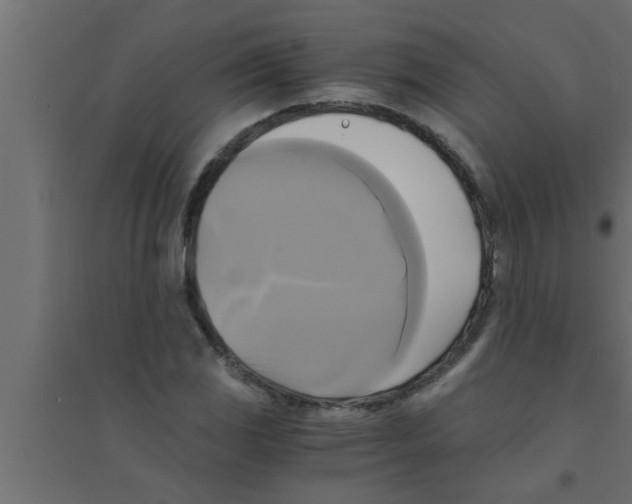 X0000094221117200711241715