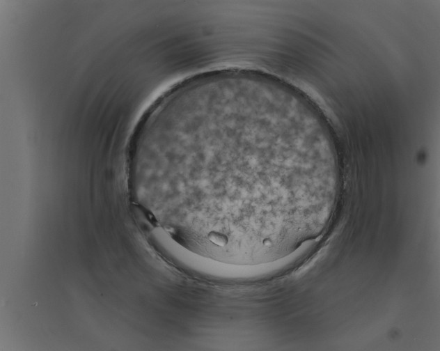 X0000094221118200711241715