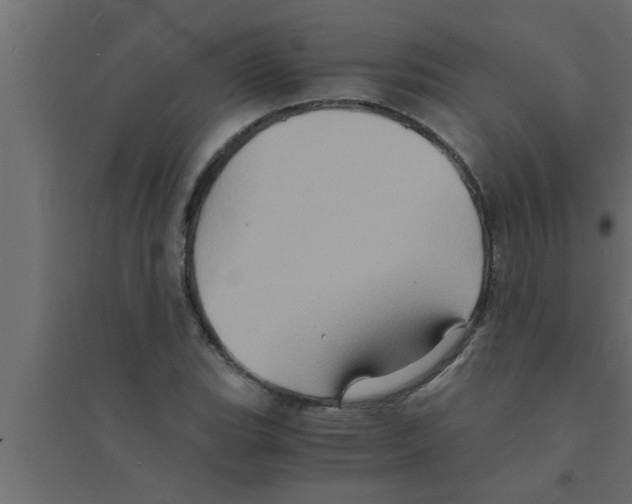 X0000094221119200711241715