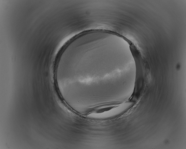 X0000094221120200711241715