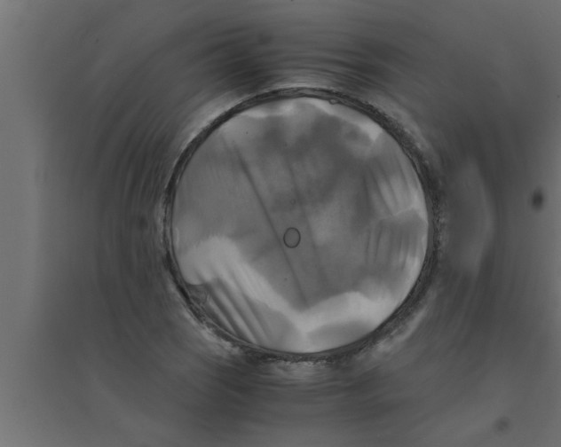 X0000094221121200711241715