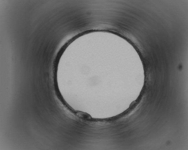 X0000094221122200711241715