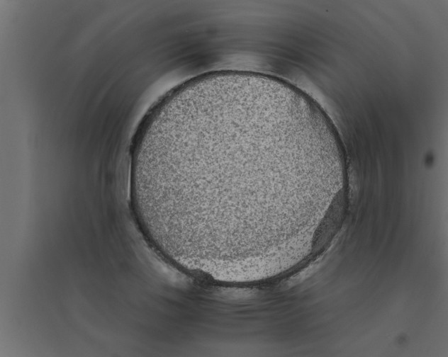 X0000094221123200711241715