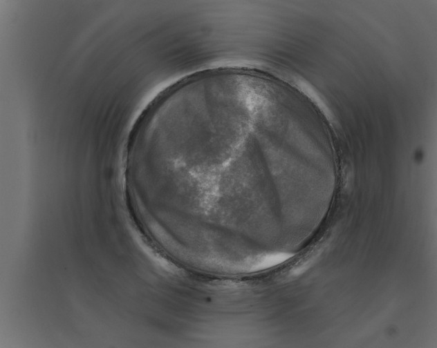 X0000094221124200711241715