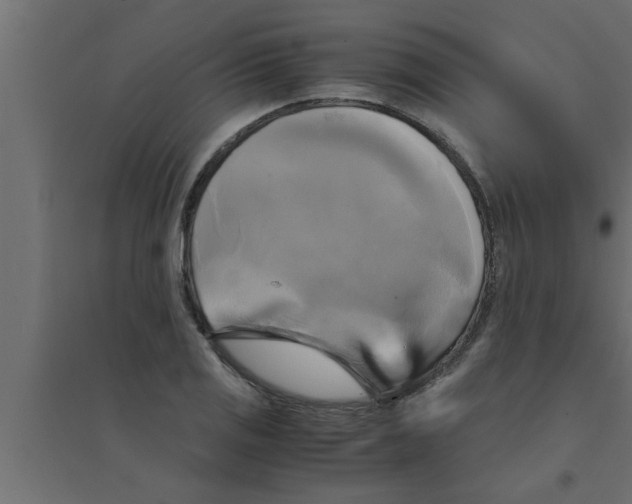 X0000094221125200711241715