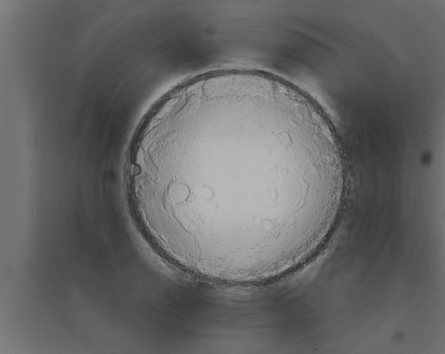 X0000094221126200711241715