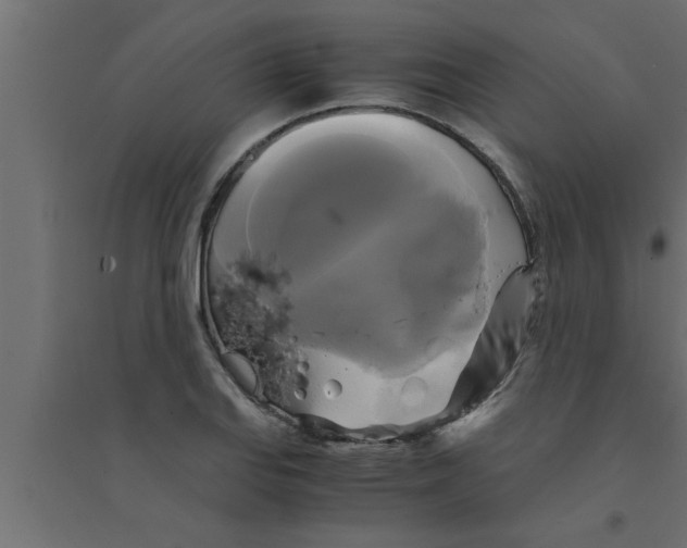 X0000094221127200711241716