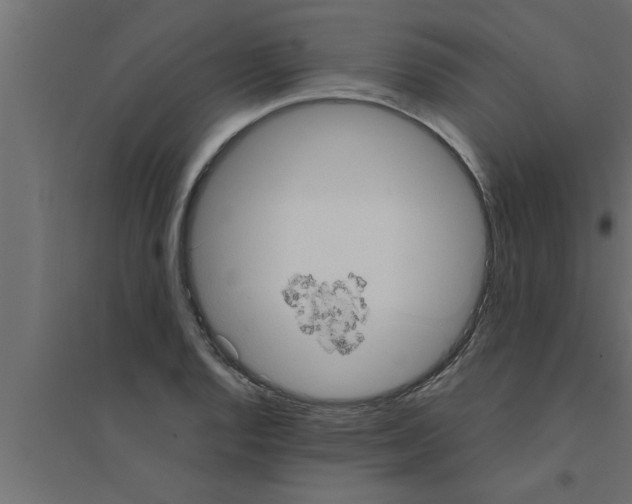 X0000094221128200711241716