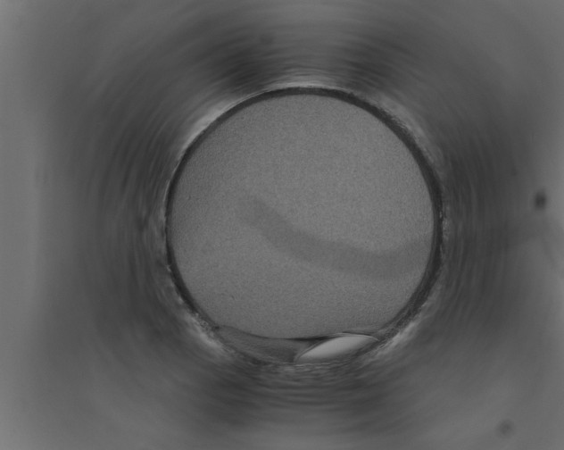 X0000094221129200711241716