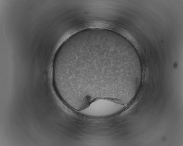 X0000094221130200711241716