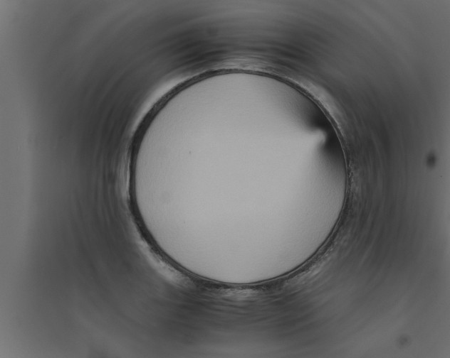 X0000094221131200711241716