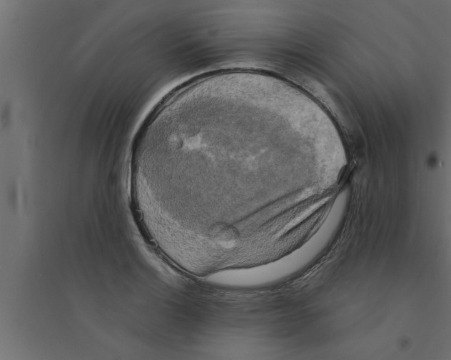 X0000094221132200711241716