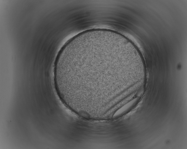 X0000094221133200711241716