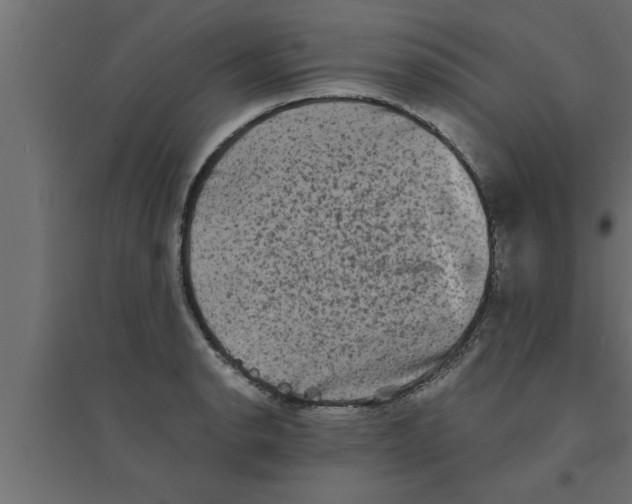 X0000094221134200711241716