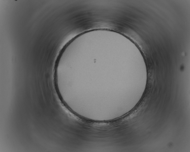 X0000094221135200711241716