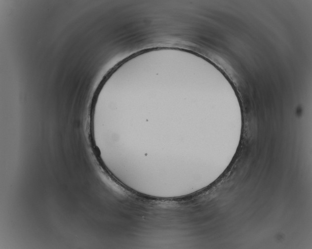 X0000094221136200711241716