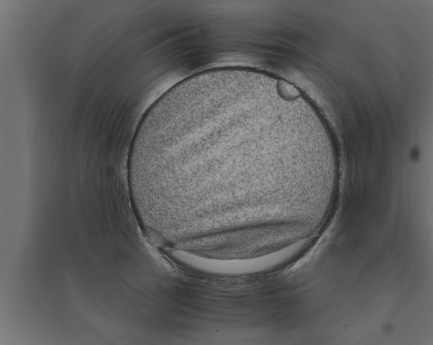 X0000094221137200711241716