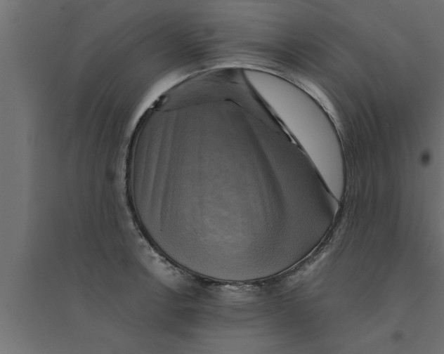 X0000094221138200711241716