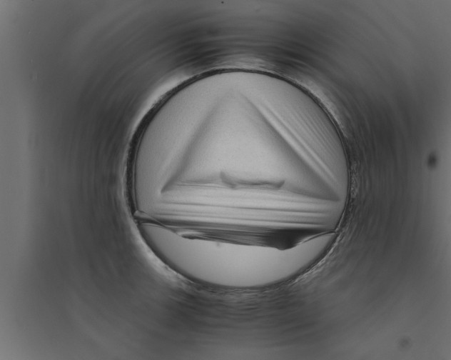 X0000094221139200711241716