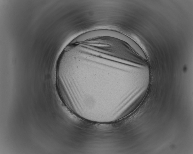 X0000094221140200711241716