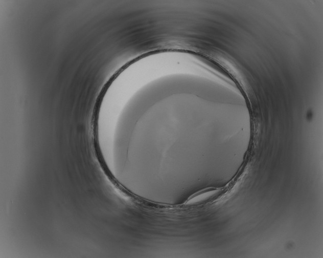 X0000094221141200711241716