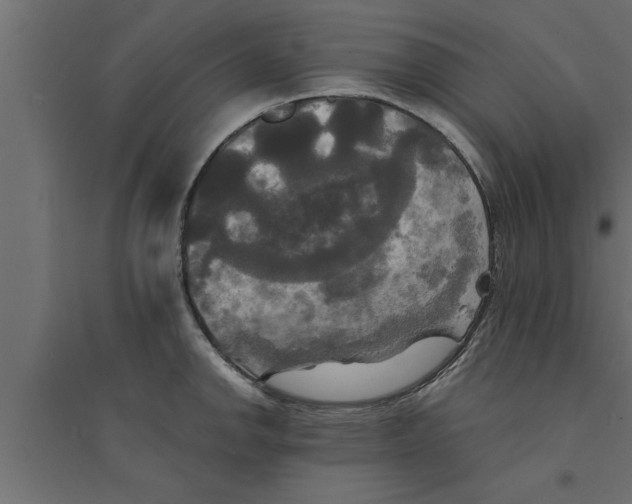 X0000094221142200711241716