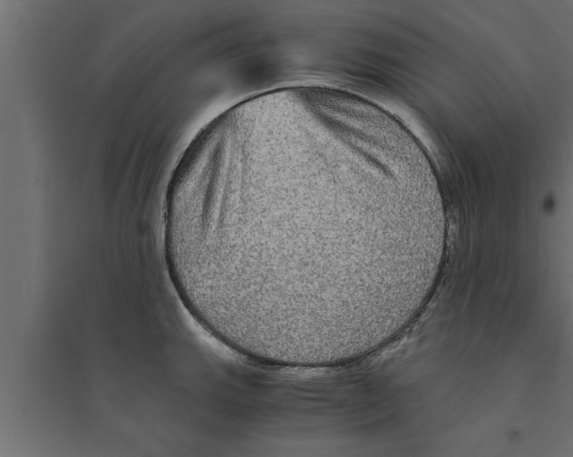 X0000094221143200711241716