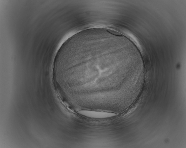 X0000094221146200711241716