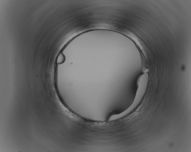 X0000094221147200711241716