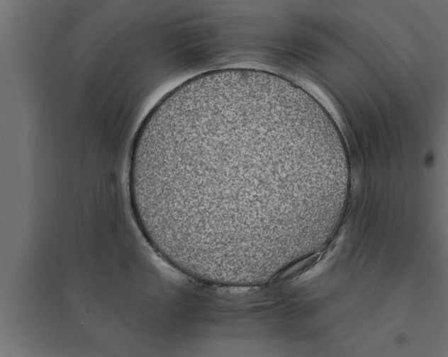 X0000094221149200711241716