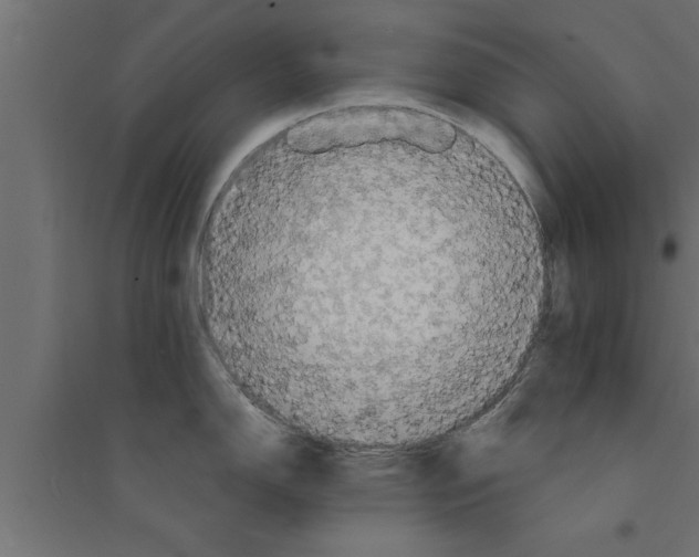 X0000094221150200711241716