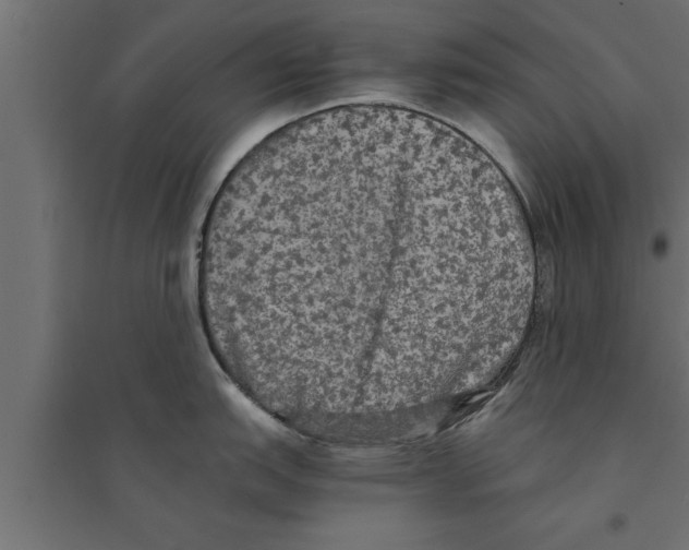 X0000094221151200711241716