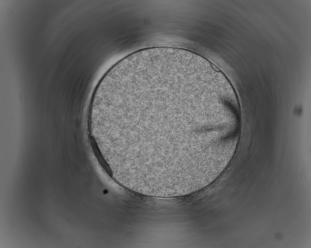 X0000094221152200711241716