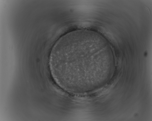 X0000094221153200711241715