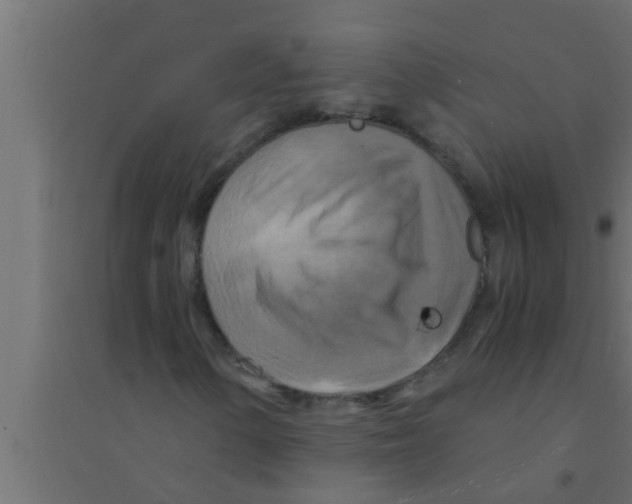 X0000094221154200711241715