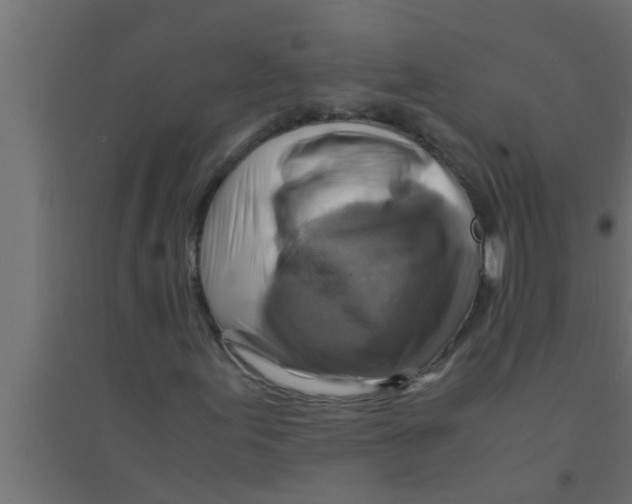 X0000094221155200711241715