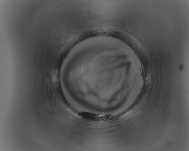 X0000094221156200711241715