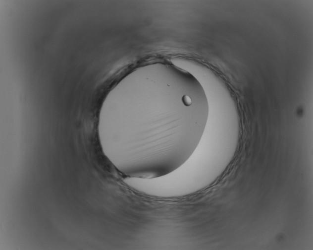 X0000094221157200711241715