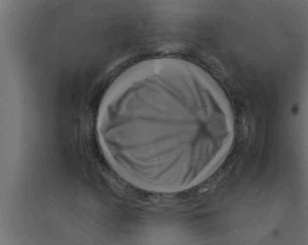 X0000094221158200711241715