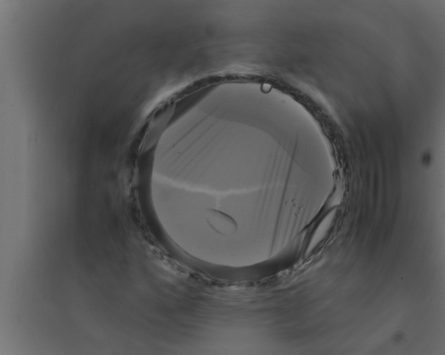 X0000094221160200711241715