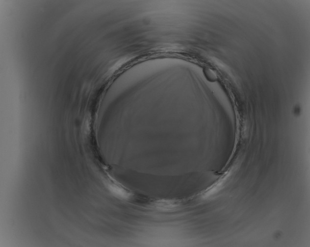 X0000094221161200711241715