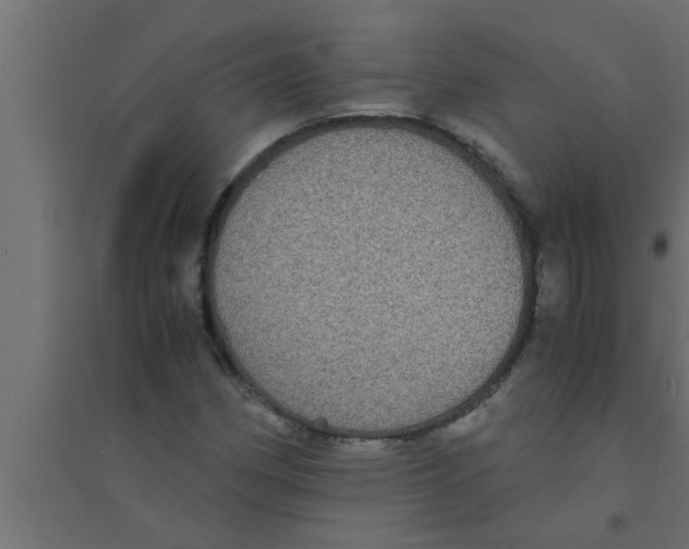 X0000094221162200711241715