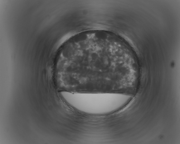 X0000094221163200711241715