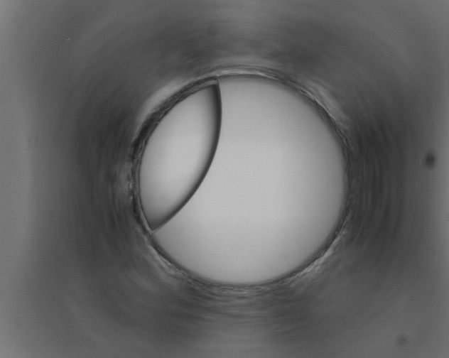 X0000094221164200711241715